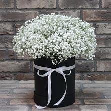 Цветочная композиция из Гипсофила в шляпной коробке #REPLACE_PRED# Комсомольском Республики Мордовия
